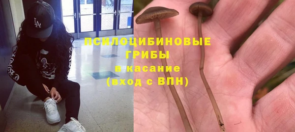 ешки Абинск
