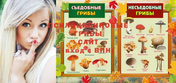 эйфоретик Абаза