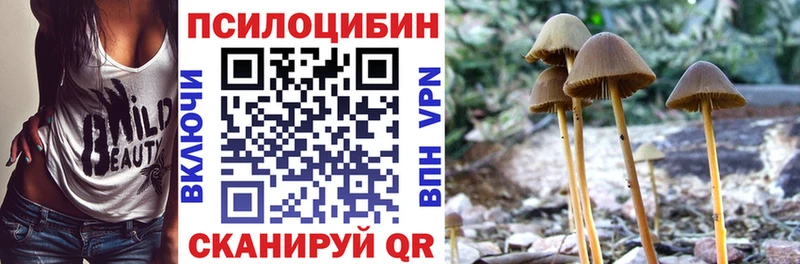 OMG онион  даркнет сайт  Братск  Псилоцибиновые грибы Magic Shrooms 