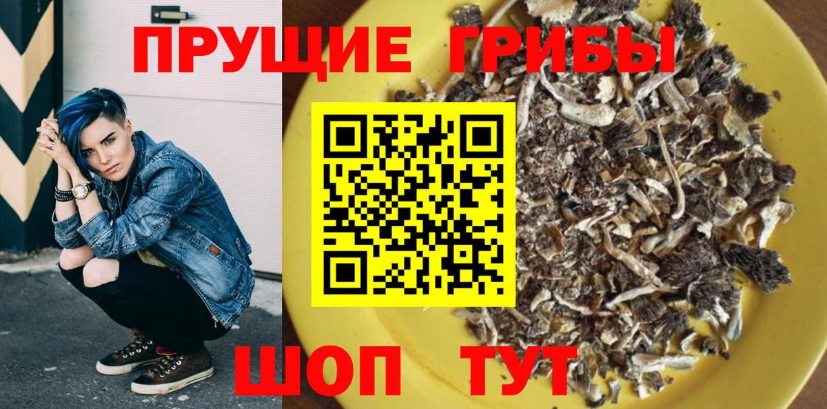 Галлюциногенные грибы Psilocybe Братск